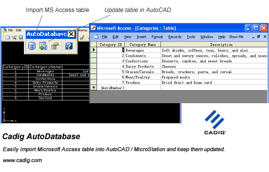 AutoCAD Access - AutoDatabase software