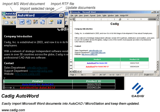 AutoCAD Word